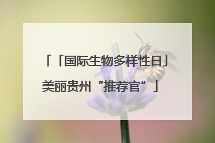 「国际生物多样性日」美丽贵州“推荐官”