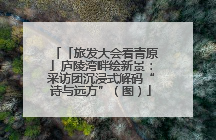 「旅发大会看青原」庐陵湾畔绘新景：采访团沉浸式解码“诗与远方”（图）