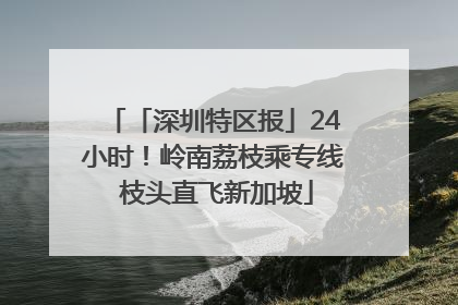 「深圳特区报」24小时！岭南荔枝乘专线 枝头直飞新加坡