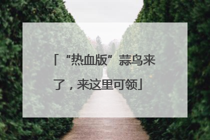 “热血版”蒜鸟来了，来这里可领