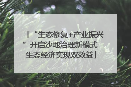 “生态修复+产业振兴”开启沙地治理新模式 生态经济实现双效益