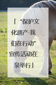 “保护文化遗产·我们在行动”宣传活动在泉举行
