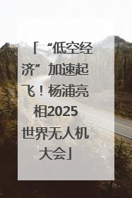 “低空经济”加速起飞！杨浦亮相2025世界无人机大会
