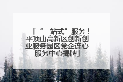 “一站式”服务！平顶山高新区创新创业服务园区党企连心服务中心揭牌