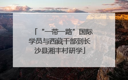 “一带一路”国际学员与西藏干部到长沙县湘丰村研学