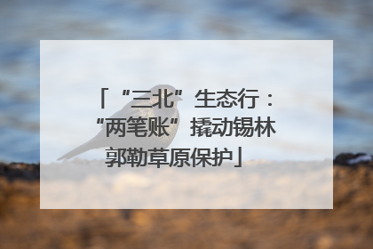 “三北”生态行：“两笔账”撬动锡林郭勒草原保护