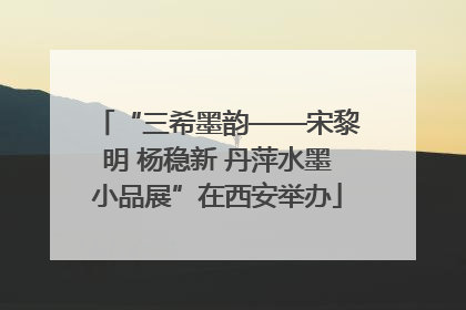 “三希墨韵——宋黎明 杨稳新 丹萍水墨小品展”在西安举办