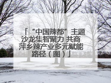 “中国辣都”主题沙龙集智聚力 共商萍乡辣产业多元赋能路径（图）