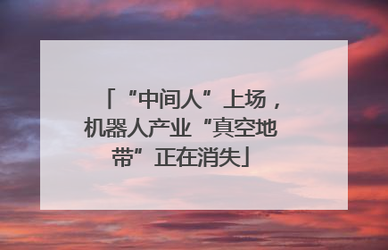 “中间人”上场，机器人产业“真空地带”正在消失