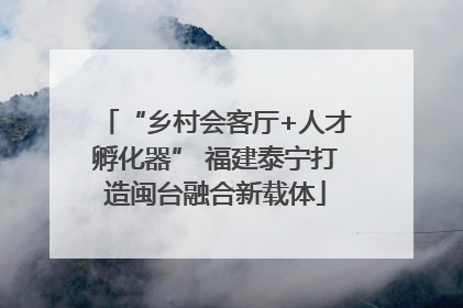 “乡村会客厅+人才孵化器” 福建泰宁打造闽台融合新载体