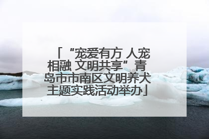 “宠爱有方 人宠相融 文明共享”青岛市市南区文明养犬主题实践活动举办