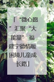“微心愿”汇聚“大能量” 福建宁德情暖困境儿童成长路