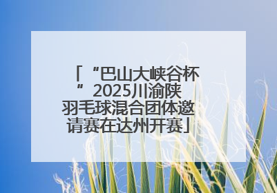 “巴山大峡谷杯”2025川渝陕羽毛球混合团体邀请赛在达州开赛
