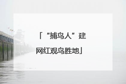 “捕鸟人”建网红观鸟胜地