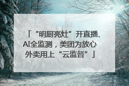 “明厨亮灶”开直播、AI全监测，美团为放心外卖用上“云监督”