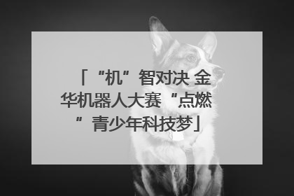“机”智对决 金华机器人大赛“点燃”青少年科技梦