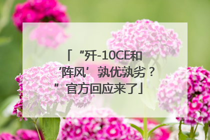 “歼-10CE和‘阵风’孰优孰劣？”官方回应来了
