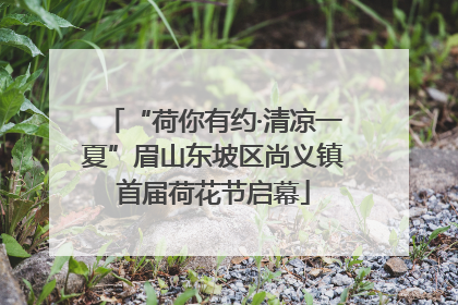 “荷你有约·清凉一夏”眉山东坡区尚义镇首届荷花节启幕