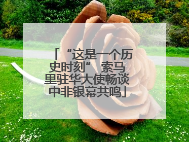 “这是一个历史时刻” 索马里驻华大使畅谈中非银幕共鸣