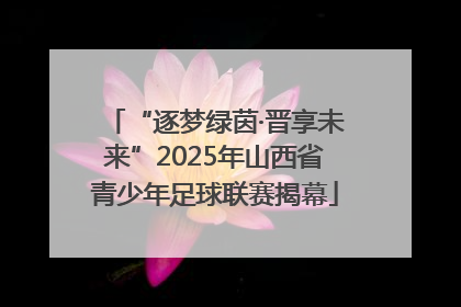 “逐梦绿茵·晋享未来”2025年山西省青少年足球联赛揭幕