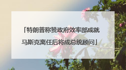 特朗普称赞政府效率部成就 马斯克离任后将成总统顾问