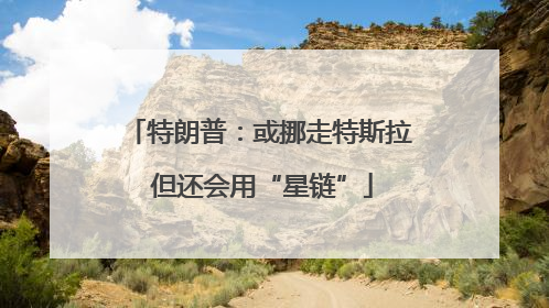 特朗普：或挪走特斯拉 但还会用“星链”