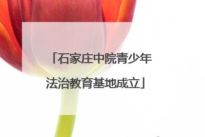 石家庄中院青少年法治教育基地成立