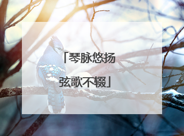 琴脉悠扬 弦歌不辍
