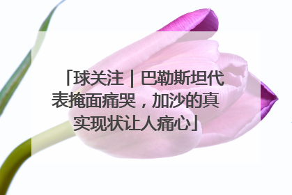 球关注｜巴勒斯坦代表掩面痛哭，加沙的真实现状让人痛心
