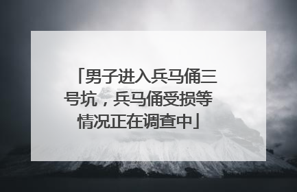 男子进入兵马俑三号坑，兵马俑受损等情况正在调查中