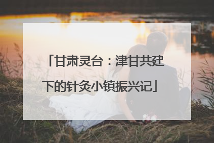 甘肃灵台：津甘共建下的针灸小镇振兴记