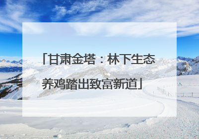 甘肃金塔：林下生态养鸡踏出致富新道