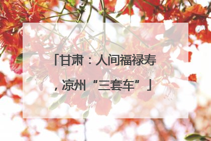 甘肃：人间福禄寿，凉州“三套车”