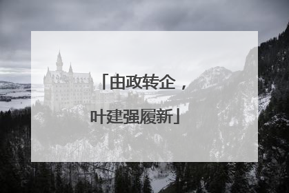 由政转企，叶建强履新