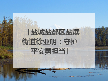 盐城盐都区盐渎街道徐亚明：守护平安勇担当