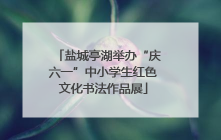 盐城亭湖举办“庆六一”中小学生红色文化书法作品展