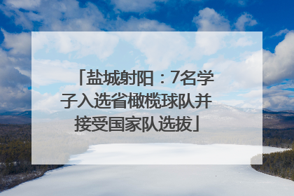 盐城射阳：7名学子入选省橄榄球队并接受国家队选拔
