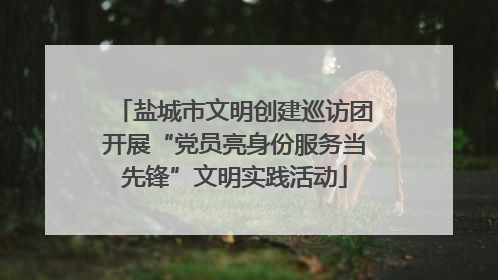 盐城市文明创建巡访团开展“党员亮身份服务当先锋”文明实践活动