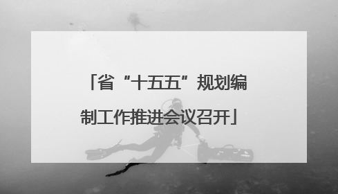 省“十五五”规划编制工作推进会议召开