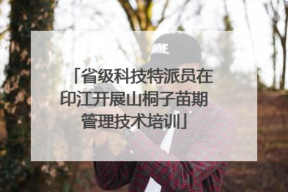 省级科技特派员在印江开展山桐子苗期管理技术培训