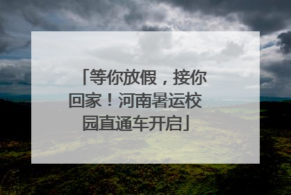 等你放假，接你回家！河南暑运校园直通车开启