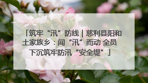 筑牢“汛”防线｜慈利县阳和土家族乡：闻“汛”而动 全员下沉筑牢防汛“安全堤”