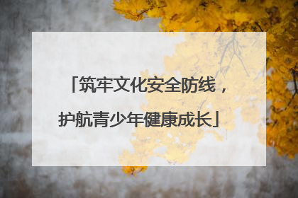 筑牢文化安全防线，护航青少年健康成长