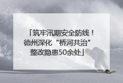 筑牢汛期安全防线！德州深化“桥河共治”整改隐患50余处