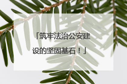 筑牢法治公安建设的坚固基石！