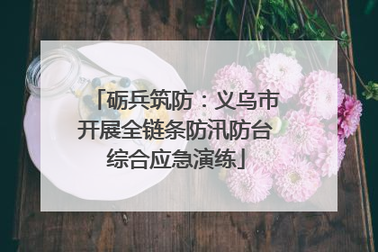砺兵筑防：义乌市开展全链条防汛防台综合应急演练