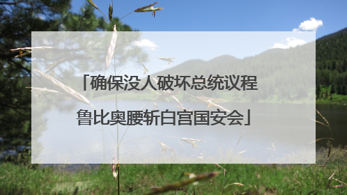 确保没人破坏总统议程 鲁比奥腰斩白宫国安会
