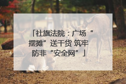 社旗法院：广场“摆摊”送干货 筑牢防非“安全网”