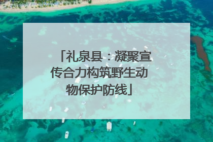 礼泉县：凝聚宣传合力构筑野生动物保护防线
