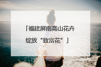 福建屏南高山花卉绽放“致富花”